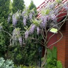 Nawadnianie i wiele innych…